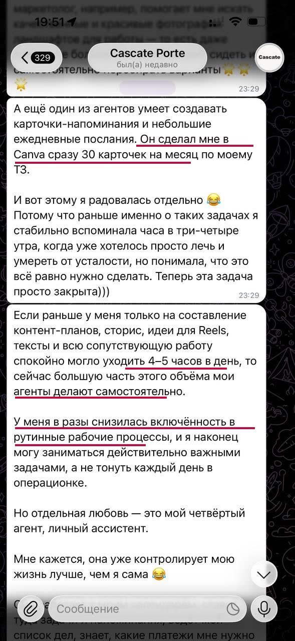 Переписка Анастасии с агентом